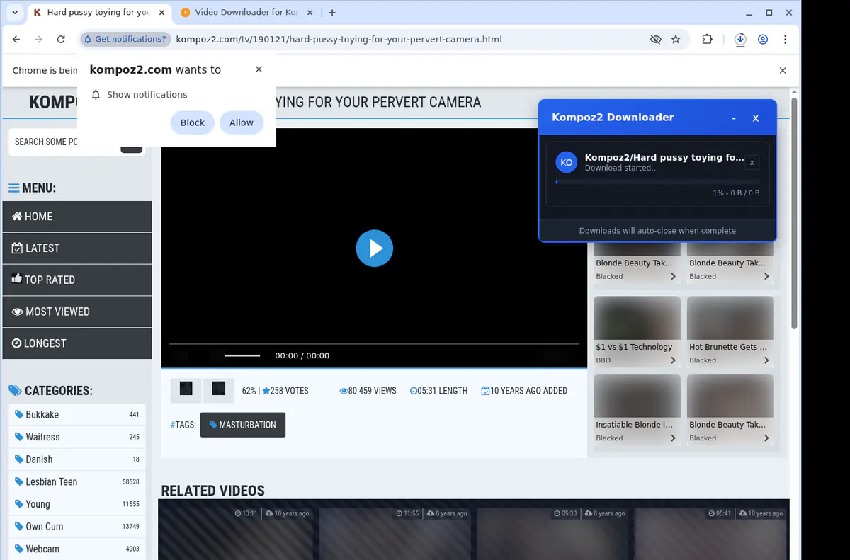 Kompoz2 Video Downloader screenshot 2