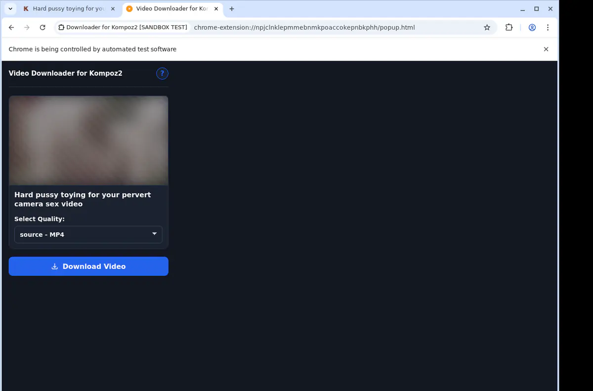 Kompoz2 Video Downloader screenshot 4